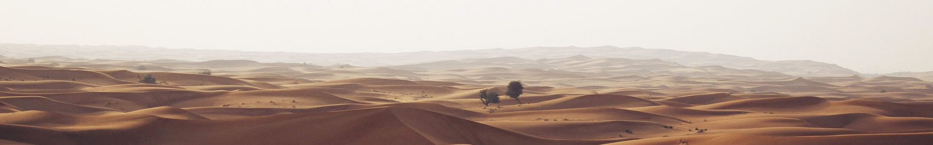 ɽЕN޹˾